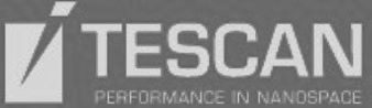 Logo TESCAN ByN OK
